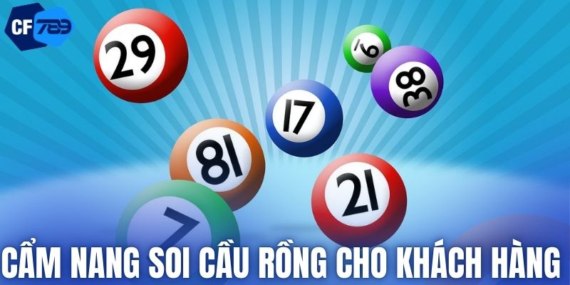 Cẩm nang soi cầu rồng cho khách hàng