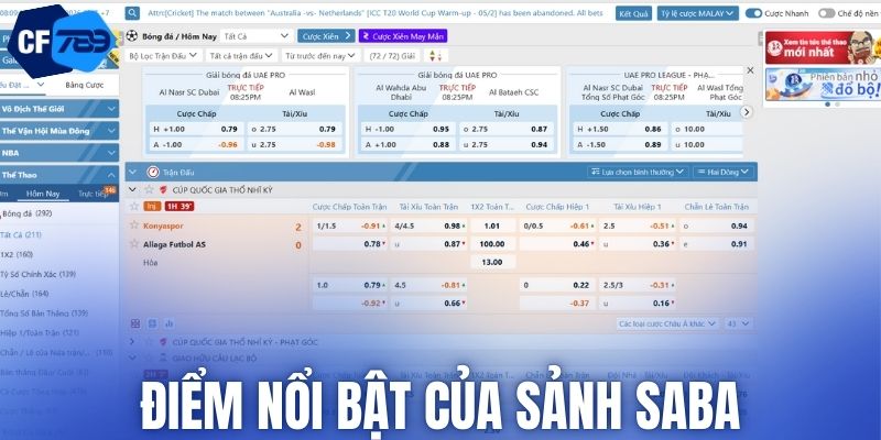 Điểm nổi bật của sảnh SABA