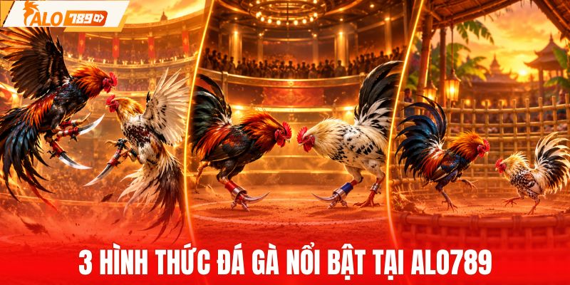3 hình thức đá gà nổi bật trên ALO789