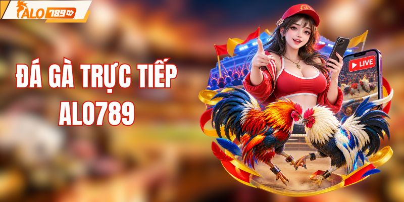 Đá Gà Trực Tiếp - Tham Gia Kèo Đấu Mãn Nhãn Bậc Nhất