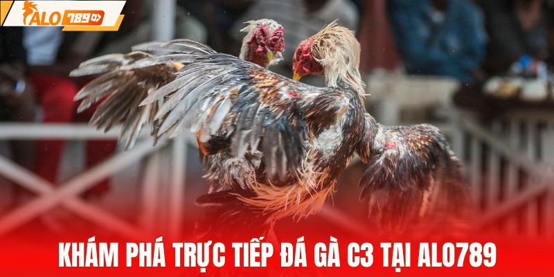 Khám phá chi tiết trực tiếp đá gà C3 tại ALO789