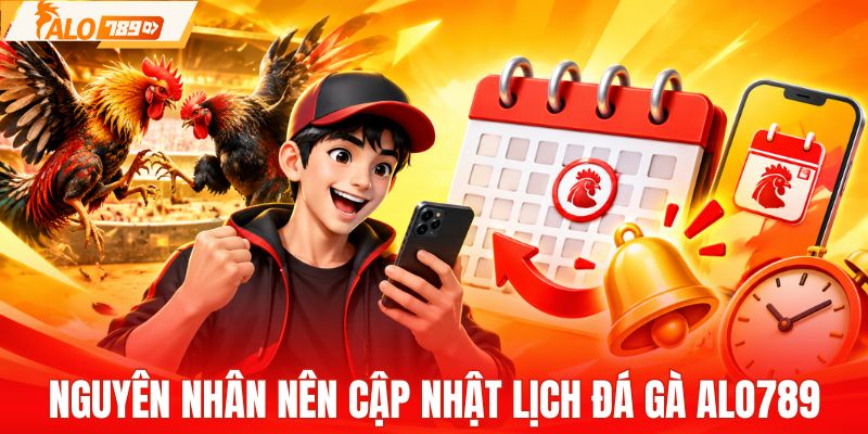Người chơi nên cập nhật lịch đá gà ALO789 liên tục