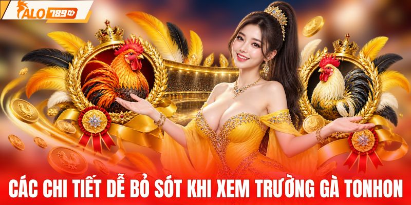 Những dữ liệu nên chú ý khi theo dõi Tonhon