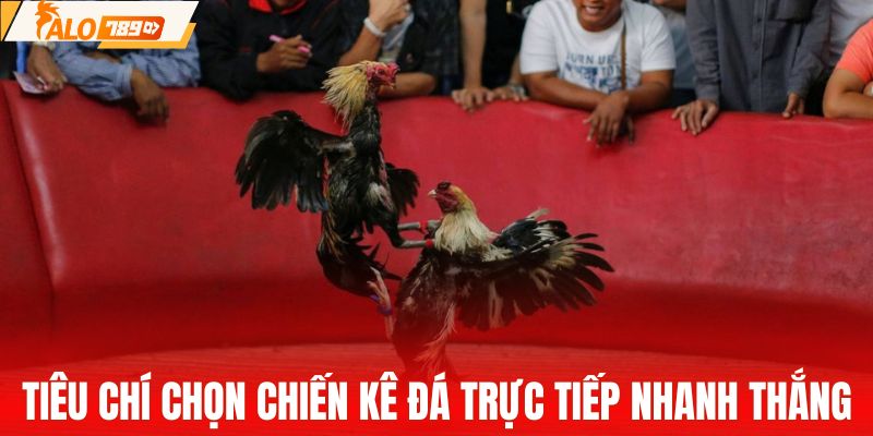 Tiêu chí chọn chiến kê có lợi thế khi đá trực tiếp