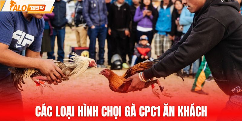 Tổng hợp hình thức chọi gà CPC1 ăn khách
